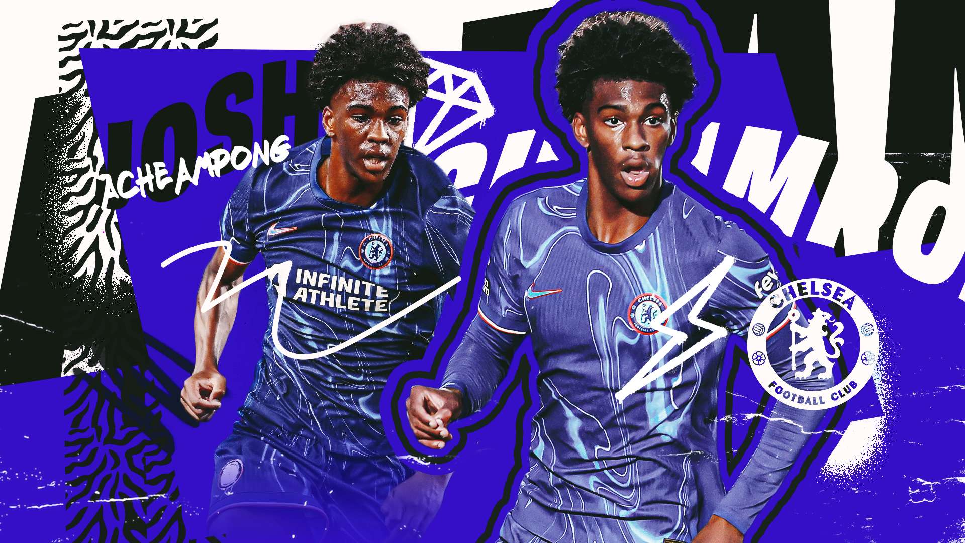 展示了一个 展示了一个