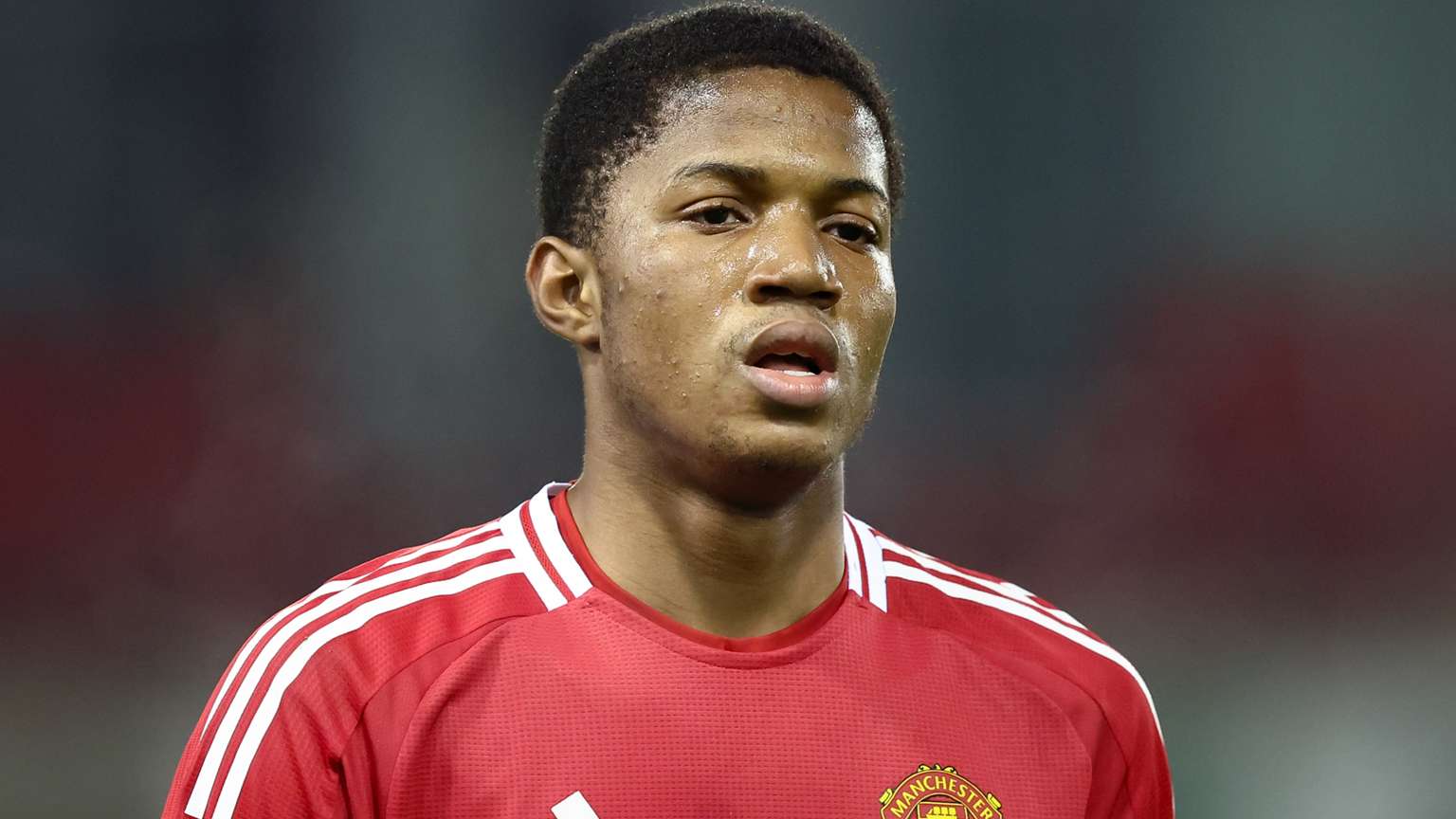 的赛季增添 的赛季增添