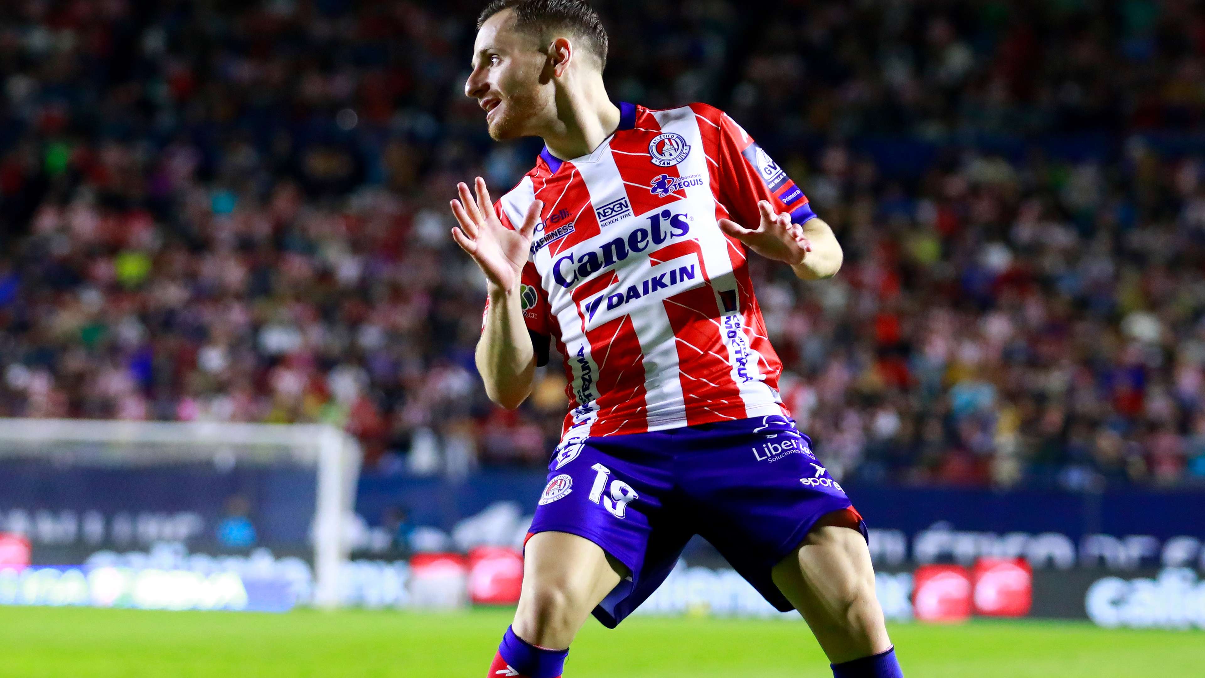 行提供了可 行提供了可